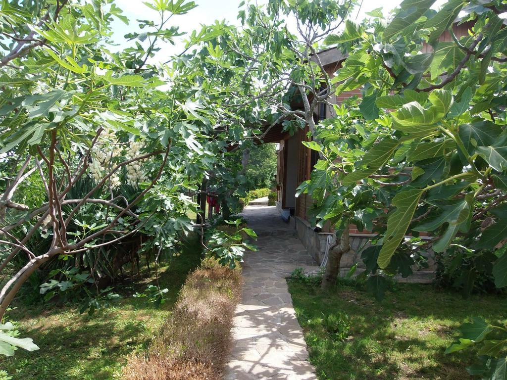 Villas And Bungalows Panorama Chernomorets Luaran gambar